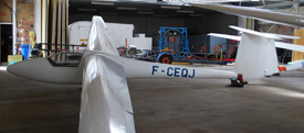 F-CEQJ at LFOY 20170607 | Glasflugel H.205