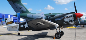 F-AZKU at LFPB 20190621 | Curtiss P40N5 Warhawk