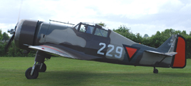 PH-XXI at EHHO 20220528 | Fokker D.XXI (replica)